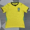 2026 Brazil home game