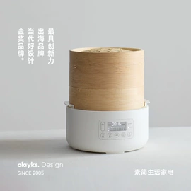 油壶;野餐炉具;电压力锅