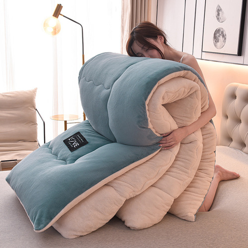 Wholesale Lamb Wool Winter Blanket Milk Wool Double-Sided Fleece Blanket Insert Thick Warm Coral Fleece Taffeta Arctic Wool Quilt