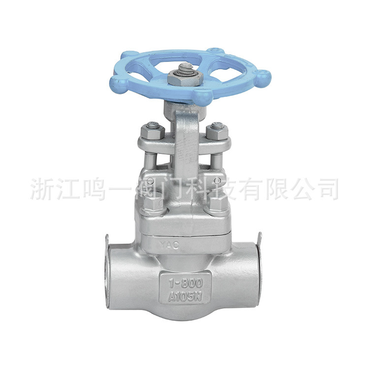 Special Socket welding gate valve 800LB purple light lamp inspection Special Socket welding gate valve 800LB purple light lamp inspection