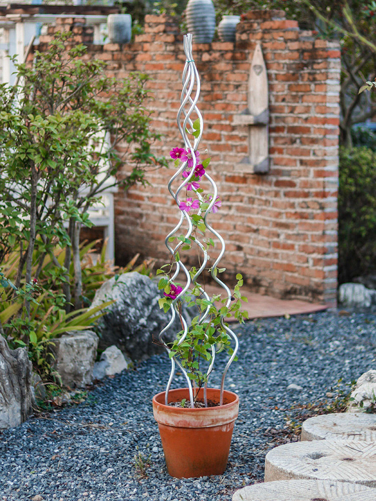 铁线莲爬藤架月季花架爬藤支架植物攀爬架花盆S型支撑杆螺旋支柱