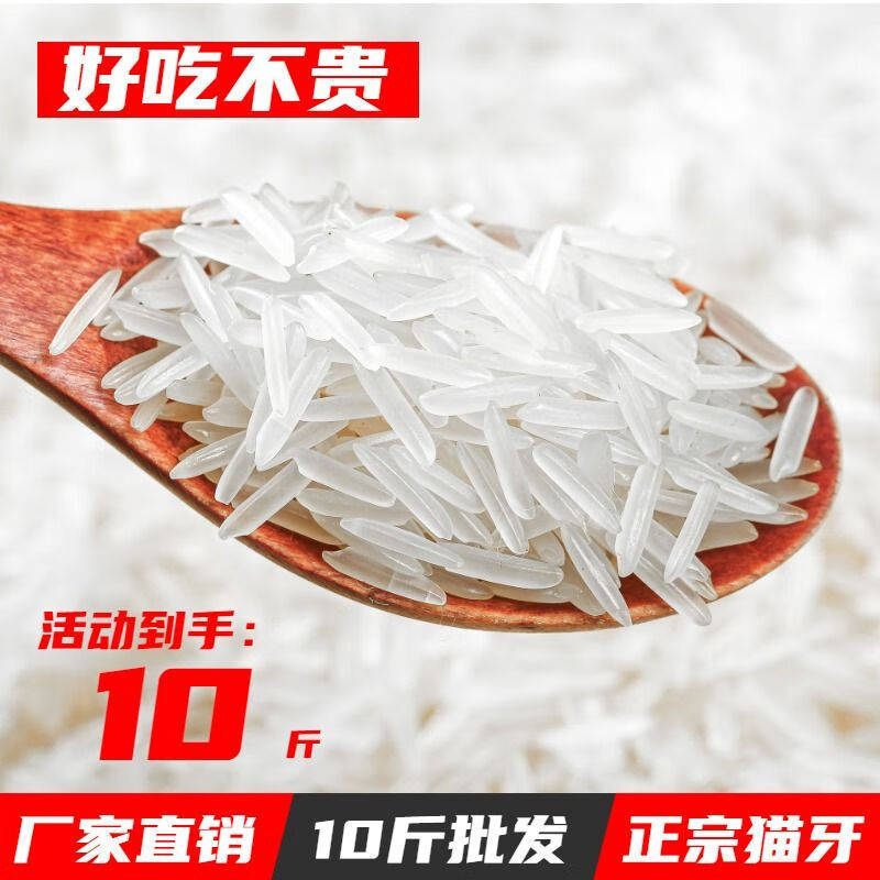 Cat's Eye Long Grain Thai Fragrant Rice Shape 2025 New Rice Extra Long Premium Silk Rice 25kg Official Flagship Store Cat's Eye Long Grain Thai Fragrant Rice Shape 2025 New Rice Extra Long Premium Silk Rice 25kg Official Flagship Store