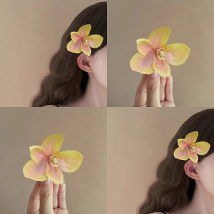 С�������m���l�A���|�P�l�^�����w����߅�A�������Ղ�߅�A����A