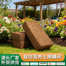 椰砖营养土种菜通用型椰糠 小包装耶砖土乌龟冬眠养花土壤种植土
