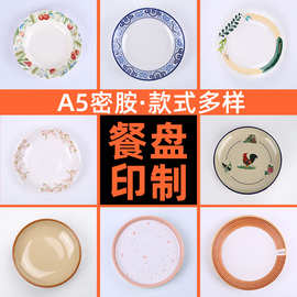 定制密胺圆形盘子平盘餐饮酒店商用仿瓷餐具自助餐西餐盘子印logo
