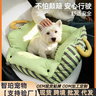 泰迪狗的生活用品