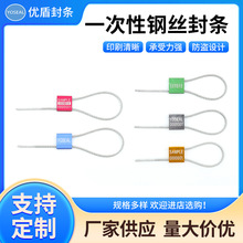 一次性钢丝封条 集装箱货车油罐车封条 防盗封条施封锁钢丝封条
