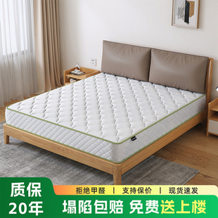 ϯ��˼���ɴ��|��20cm���ⷿ���ü���ܛ2�����Ҽ�ͥӲҬ�؉|1.5��