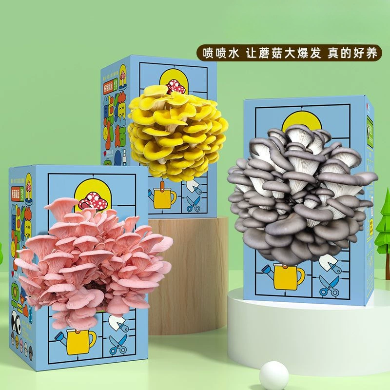 Грибная коробка Подарочная коробка Pleurotus Pleurotus Посадка пакет съедобных грибов Детский сад кукла зеленая посадка в коробке