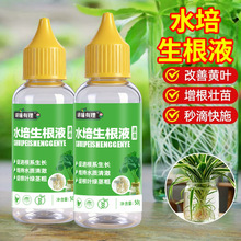 水培植物通用生根液富贵竹转运竹猛生根养根剂水培蔬菜营养液批发