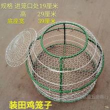 ���P����u�\ţ�ܻ\�Bֳ�\�Ƶ�\���r����ꌣ�û\�Bֳ�S�û\��