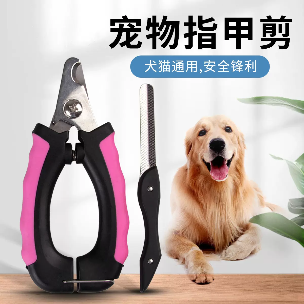 厂价直供宠物修理指甲剪刀磨甲清理修护工具宠物用品现货可代发