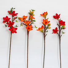 ����Ӣ�ۻ��L֦ľ�޻������m���͏d�e�������Ƶ��b[�����滨