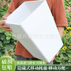 国境を越えた対外貿易植木鉢の家庭用超大型号はシンプルで、亀背竹散尾葵発財樹室内バルコニーを厚くする