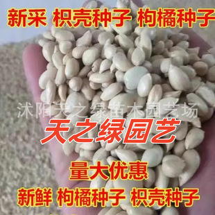 �²����ٷN���۽۷e������޽���ľ��ȼt���ٻh���ך��ͺ��N����