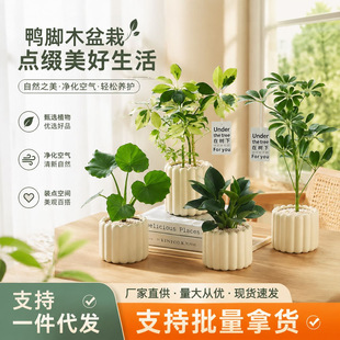�ļ����B���҃ȿ͏d�����՚��k���������҃ȾGֲС���������L�[��