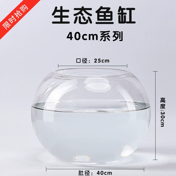 40 balls (1 piece of colored stone)☆✦