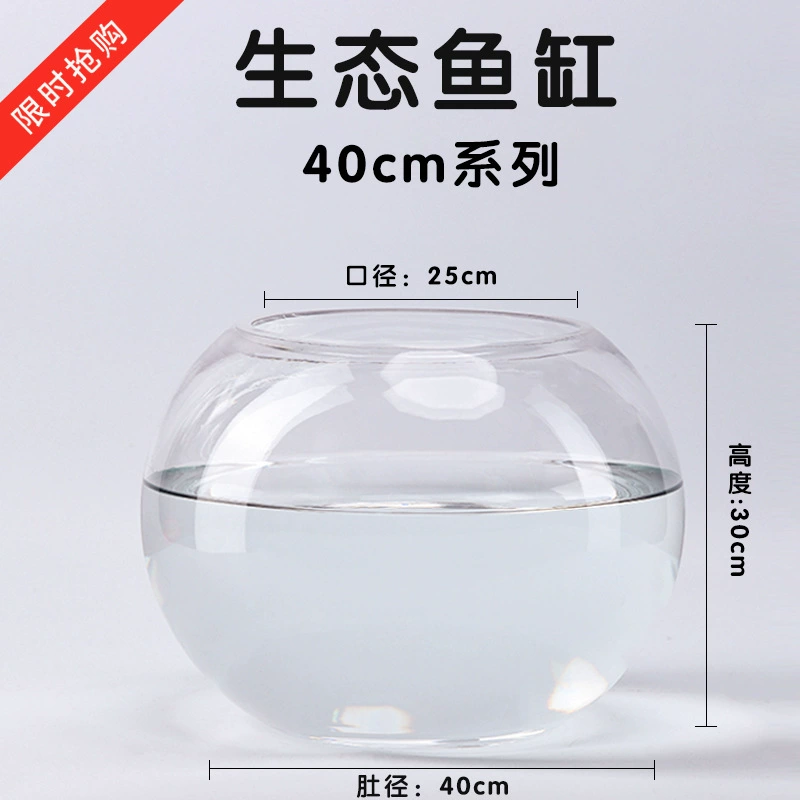 Transparent glass small aquarium for office