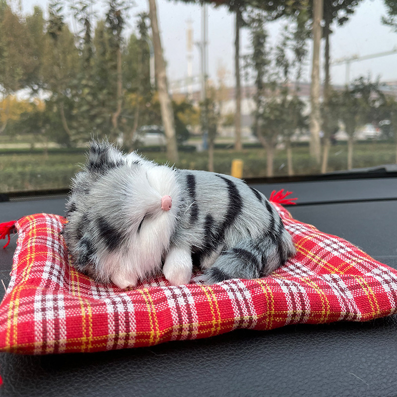 핑크 스팟 패드 6