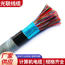 DJYPVP-22�z�bӋ��C������| DJYP2VP2-22�~������Ӌ��C��|