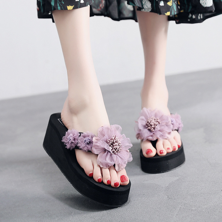 보라색 6CM