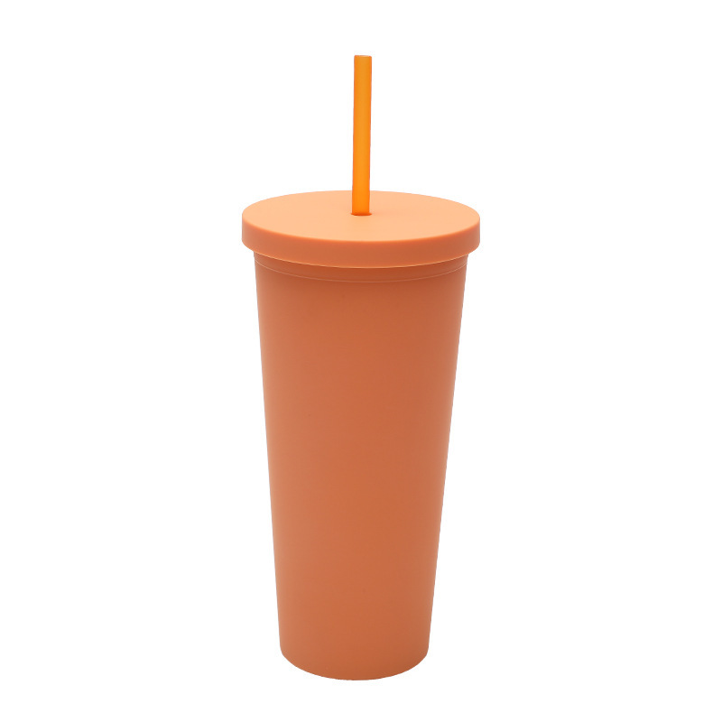 亚马逊双层塑料吸管杯  24OZ容量户外平盖随手水杯跨境专供冷饮杯|undefined
