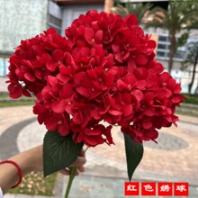 ����t���򻨡� 5�^��������  ���Q�߷����㽑���cܛ�b�ٻ����l