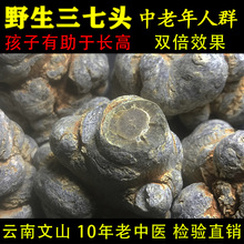 文山三七特级野生20头18头田七中药材云南切片磨粉正品官方旗舰店