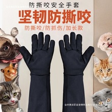 ץ����ҧ���ׄP����؈ץ����ӖȮ�]؈����ϴ�����׼Ӻ�ţƤ���L��