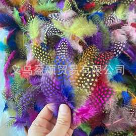 厂家直销 彩色珍珠鸡羽毛 大点diy玩具 逗猫棒配件服装工艺品装饰