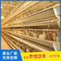 泉州福建自动自动化设备