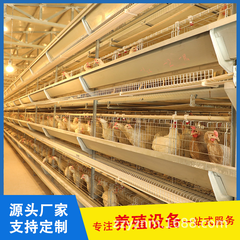 笼养鸡设备 捡蛋养鸡场江西赣州四层五层全自动层叠蛋鸭养殖笼