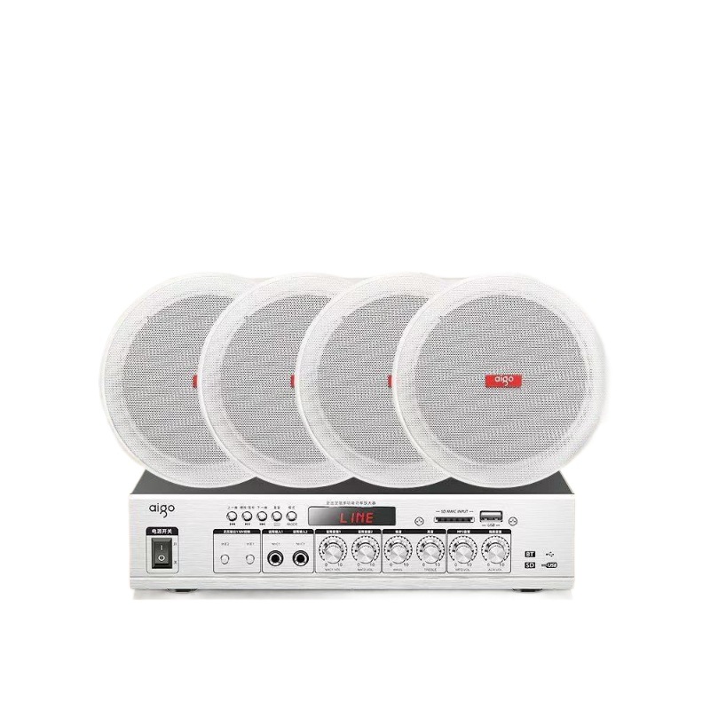 Sistema de Altavoces de Techo con Conexión Bluetooth para Música de Fondo