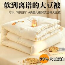 A类60支纯棉99%大豆纤维被空调被被子冬被棉被褥单人春秋被芯礼品