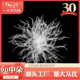 羽毛、羽绒;羽绒被;其他枕芯