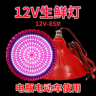 12V24V48V Stall Night market low pressure Battery Lights Fresh Light Pork fruit Cooked Red Discoloration