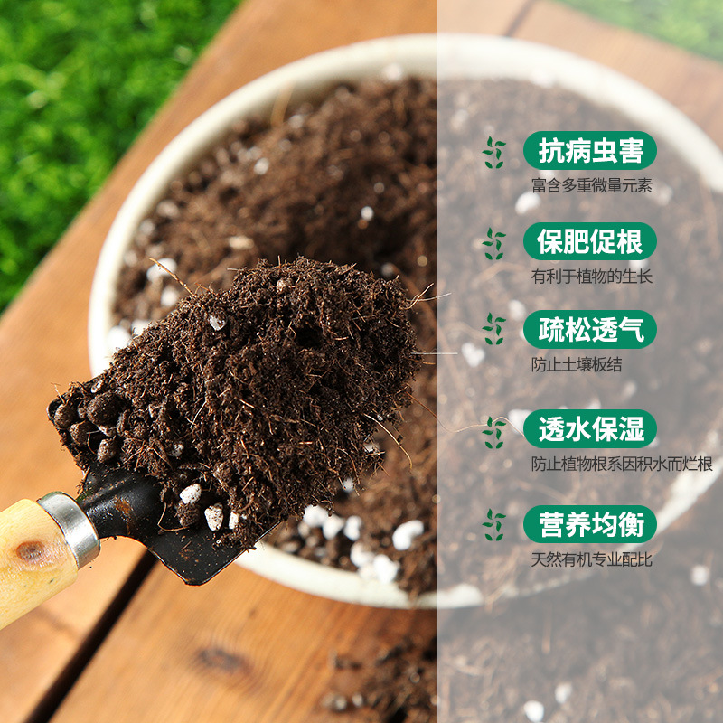 Plantación de flores de uso general hogar nutriente suelo suculento suelo plantación de flores vegetales plantación orgánica suelo suministro de fábrica