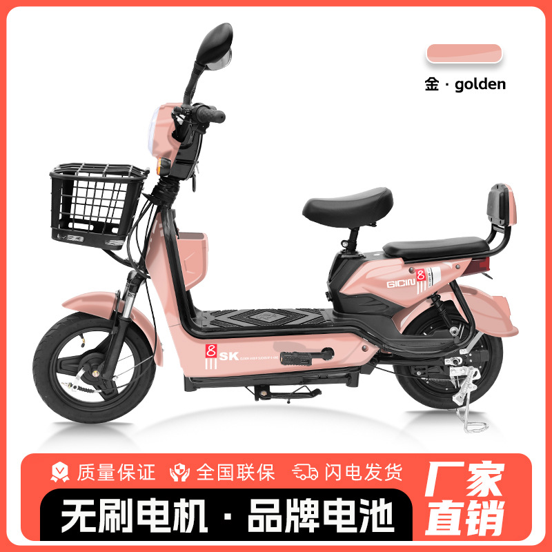 Bicicleta Eléctrica Golden Eagle para Comercio Exterior al por Mayor, Scooter Eléctrico para Adultos de Dos Plazas, Vehículo Eléctrico Ligero de Dos Ruedas con Batería de Larga Duración.