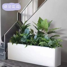 ˮ�໨���ش�̖��ڏ����s��ɫ��ɫ�Gֲ���ԑ���ͥԺ�����ưl��