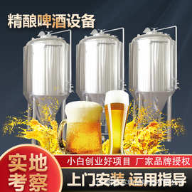精酿啤酒加工设备 紫铜威士忌蒸馏器 发酵罐 全自动啤酒生产设备