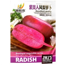 Pˮ}NӼtƤtN}߲˷N˼t}ļ