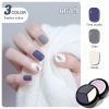 Nail polish for manicure, painted set, three colors, 2023 collection, full set, wholesale