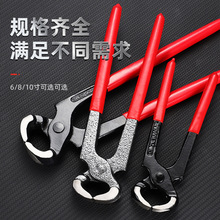 RӵĹߺQ ๦I̼6ľӺQ