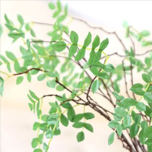 �����仨�����~����ֲ�� �L֦��֦�G�~����ط��滨