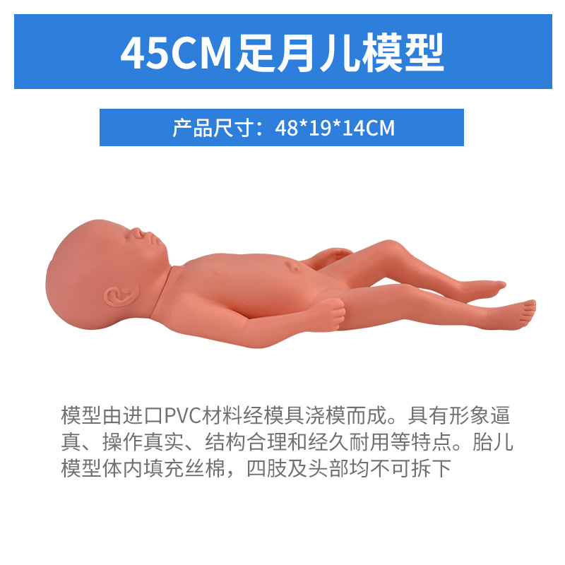 ��ѧ������׼�Ů�Թ��輰�ӹ�ģ��Ů����ǻ�ṹ������׼��⿵��