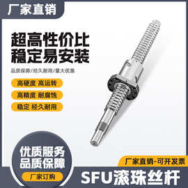 热销 精密滚珠丝杆SFU1204 滚珠丝杆螺母 国产C7滚珠丝杆 厂家直