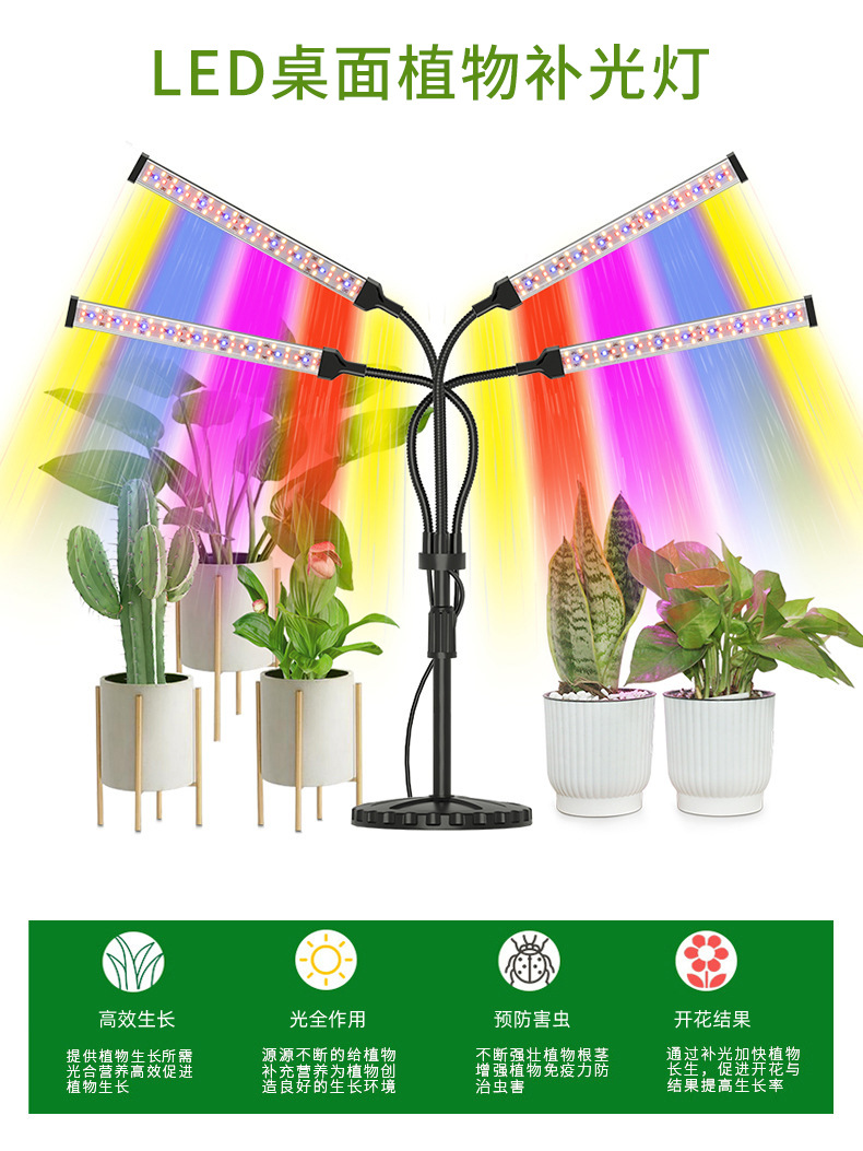 O1CN01dxzXDa1hwE796BaH2_!!3216