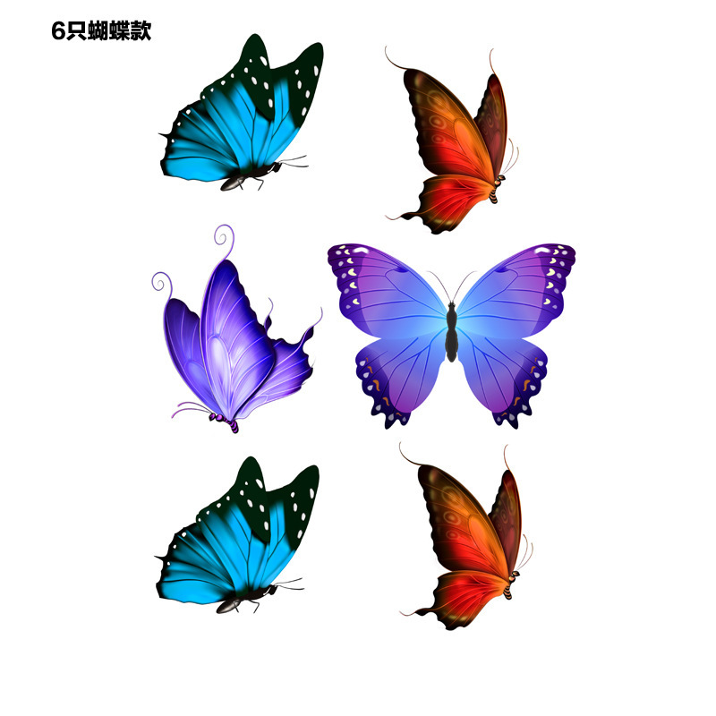 6只装蝴蝶