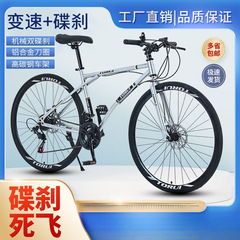 道路の自転車の軽やかな成人の自転車は死んで飛びます。