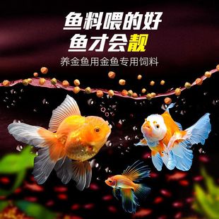 �~ʳ���~���С�w���ϸ���̩�{�{���^�\���^�p�~���Ì����~�Z